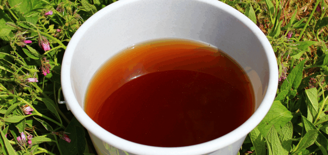 The One Plant That Can Fix Your Entire Garden – And You’re Probably Ignoring It