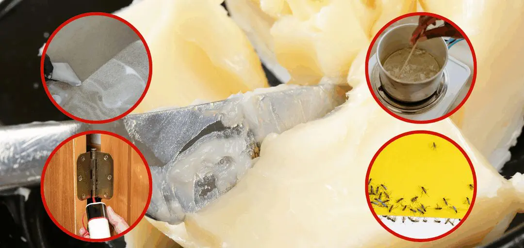 Ingenious Uses of Tallow You Never Thought Of (Except Eating!)