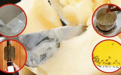 Ingenious Uses of Tallow You Never Thought Of (Except Eating!)