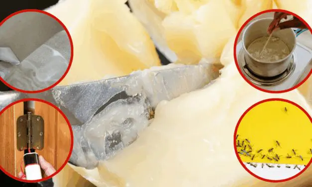 Ingenious Uses of Tallow You Never Thought Of (Except Eating!)