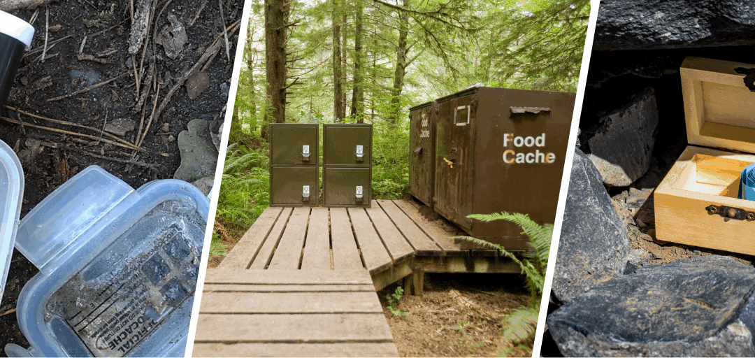 You Never Thought You Can Hide These In Plain Sight