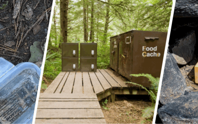 You Never Thought You Can Hide These In Plain Sight