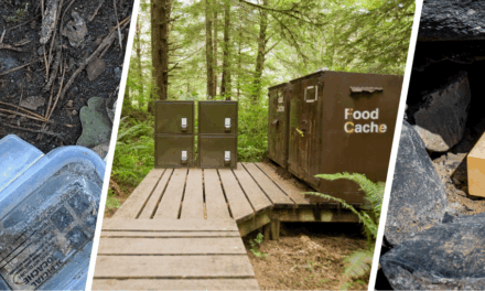 You Never Thought You Can Hide These In Plain Sight