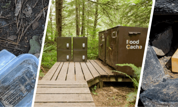 You Never Thought You Can Hide These In Plain Sight