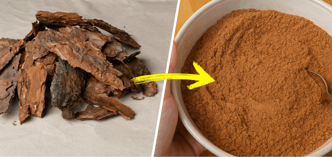 How to Make Long-Lasting Flour from Wild Grains, Seeds, Nuts and Bark