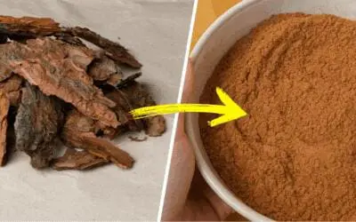 How to Make Long-Lasting Flour from Wild Grains, Seeds, Nuts and Bark