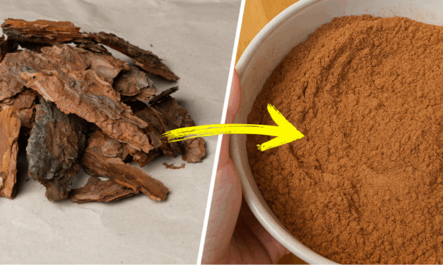 How to Make Long-Lasting Flour from Wild Grains, Seeds, Nuts and Bark