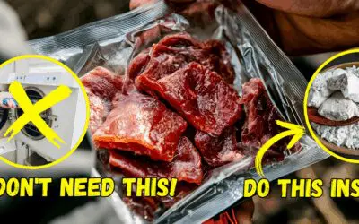Ingenious Ways to Freeze-Dry Your Food at Home for 10+ Years Shelf Life