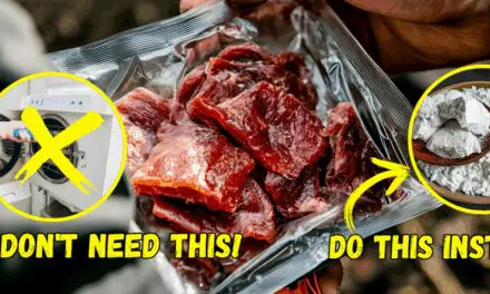 Ingenious Ways to Freeze-Dry Your Food at Home for 10+ Years Shelf Life