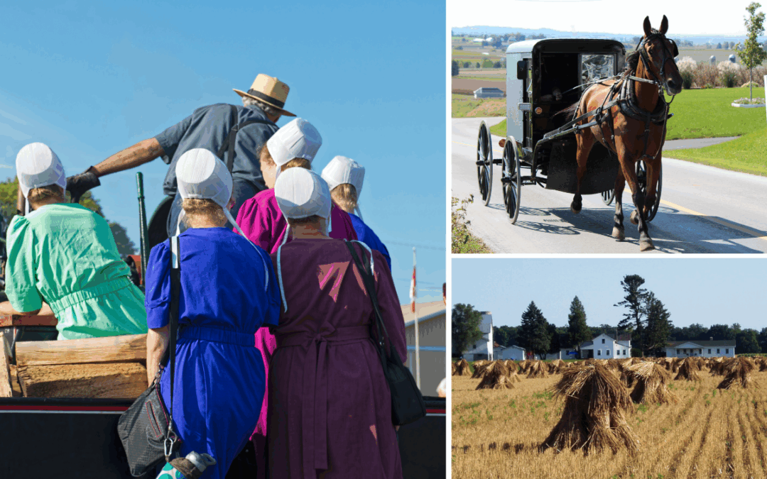 12 Amish Farming Secrets Every Homesteader Should Know