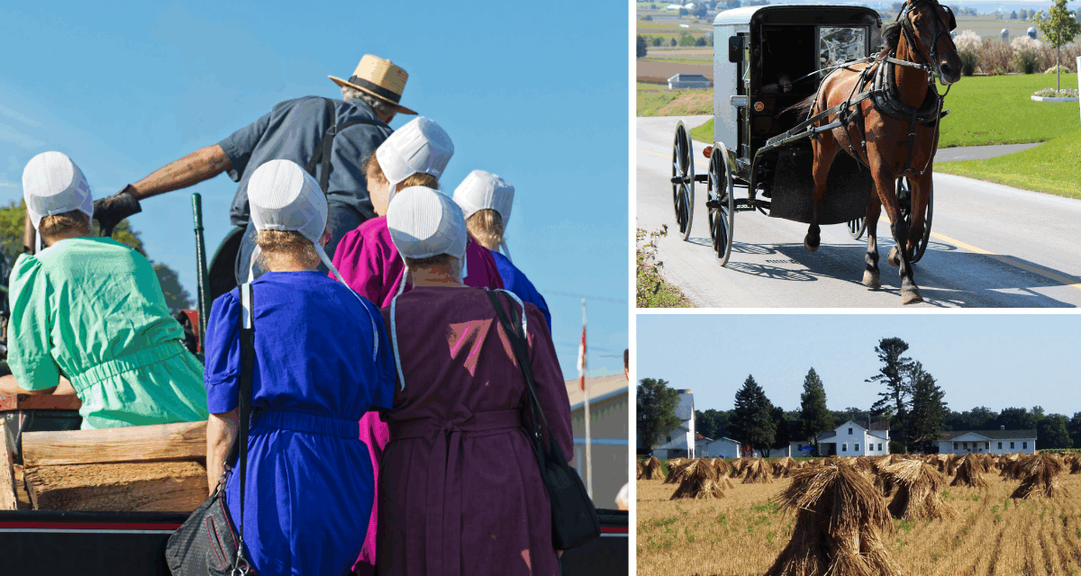 12 Amish Farming Secrets Every Homesteader Should Know