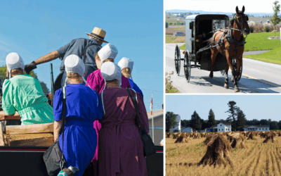 12 Amish Farming Secrets Every Homesteader Should Know