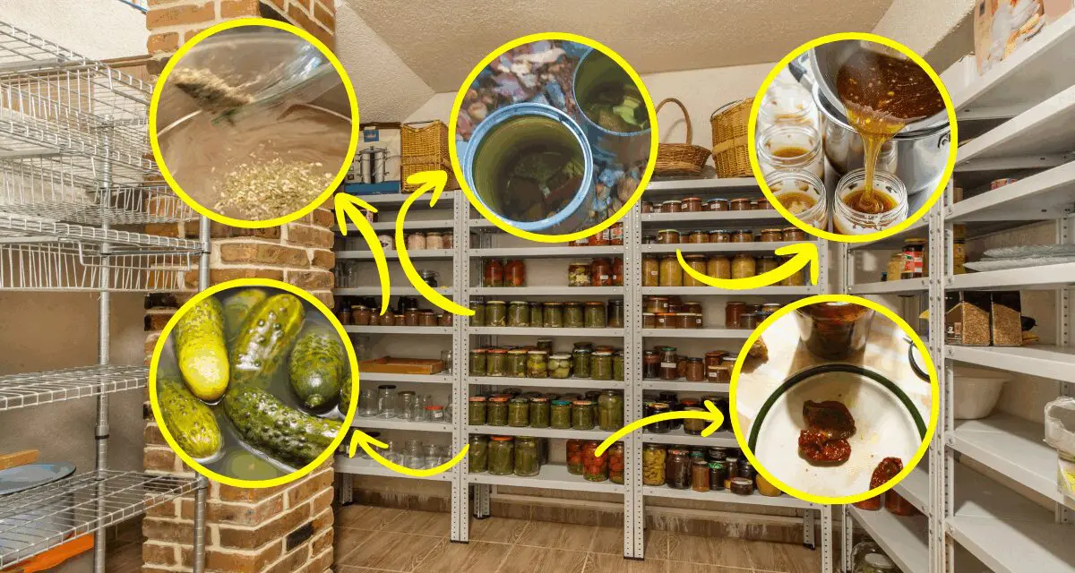 These 15 Foods Can Never Spoil