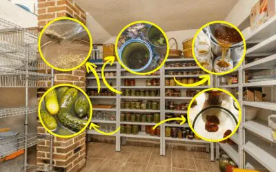 These 15 Foods Can Never Spoil