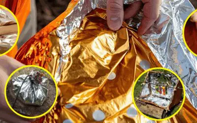 16 Ingenious Uses for Mylar Blankets on Your Homestead