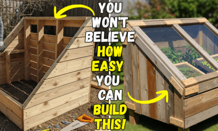 How I Made a Solar Herb Dryer with Scrap Materials