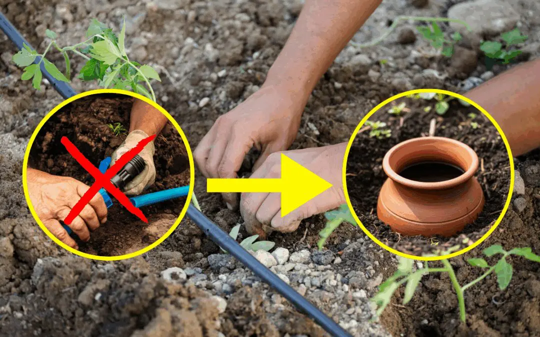 The Native American Way To Self-Water Your Backyard