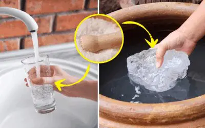 Why You Should Add Alum Salt to Your Water