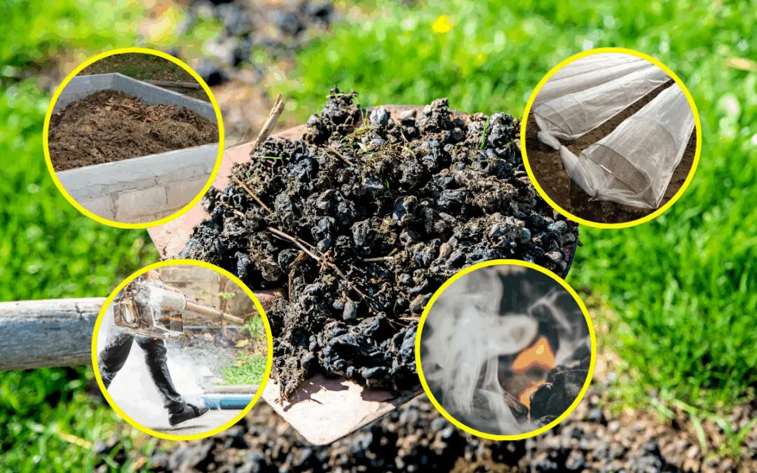 8 Unusual Uses for Manure Around Your Homestead