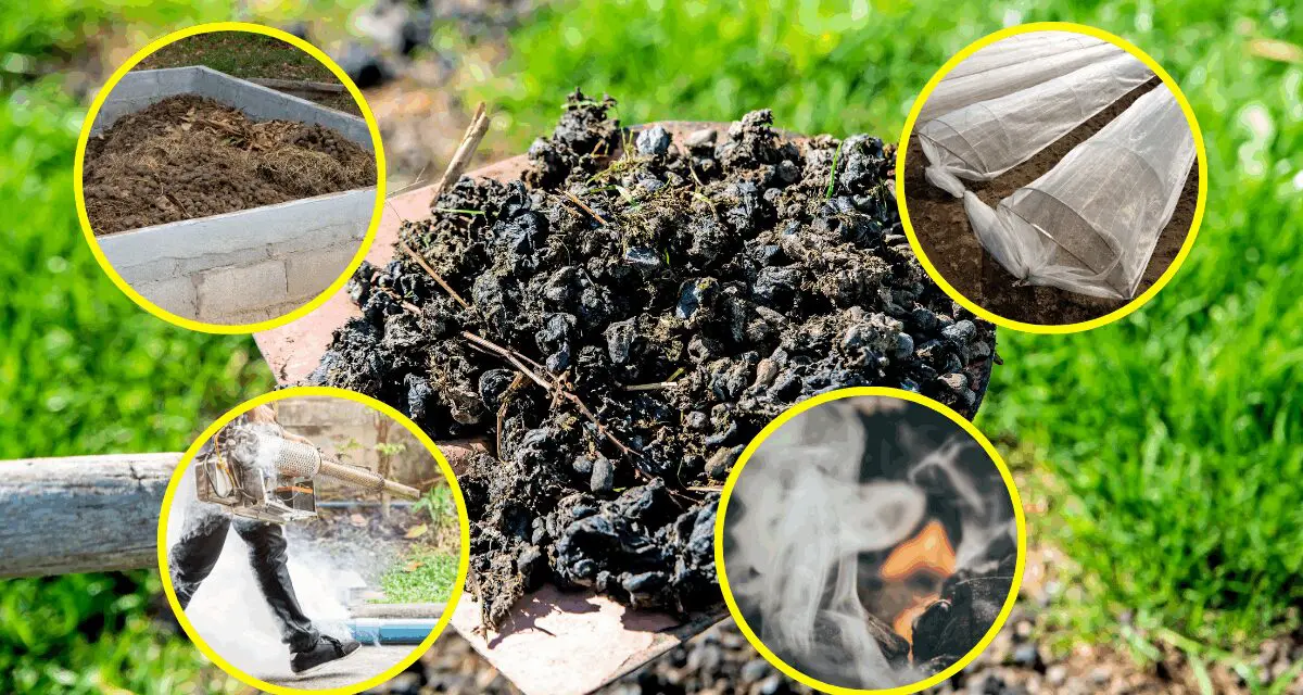 8 Unusual Uses for Manure Around Your Homestead