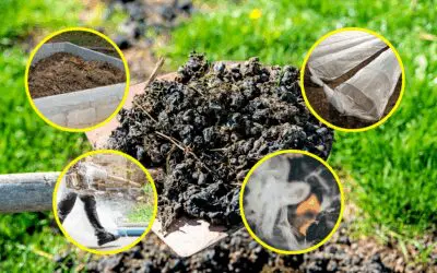 8 Unusual Uses for Manure Around Your Homestead