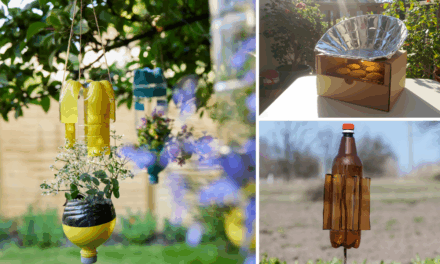 Smart Ways To Reuse Things That You Usually Throw Away