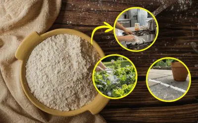 10 Ingenious Uses for Flour Around Your Home