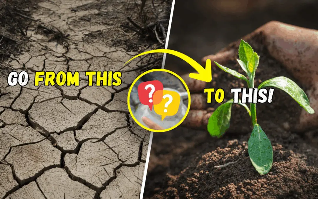 5 Forgotten Soil-Revival Methods That Can Save Your Harvest