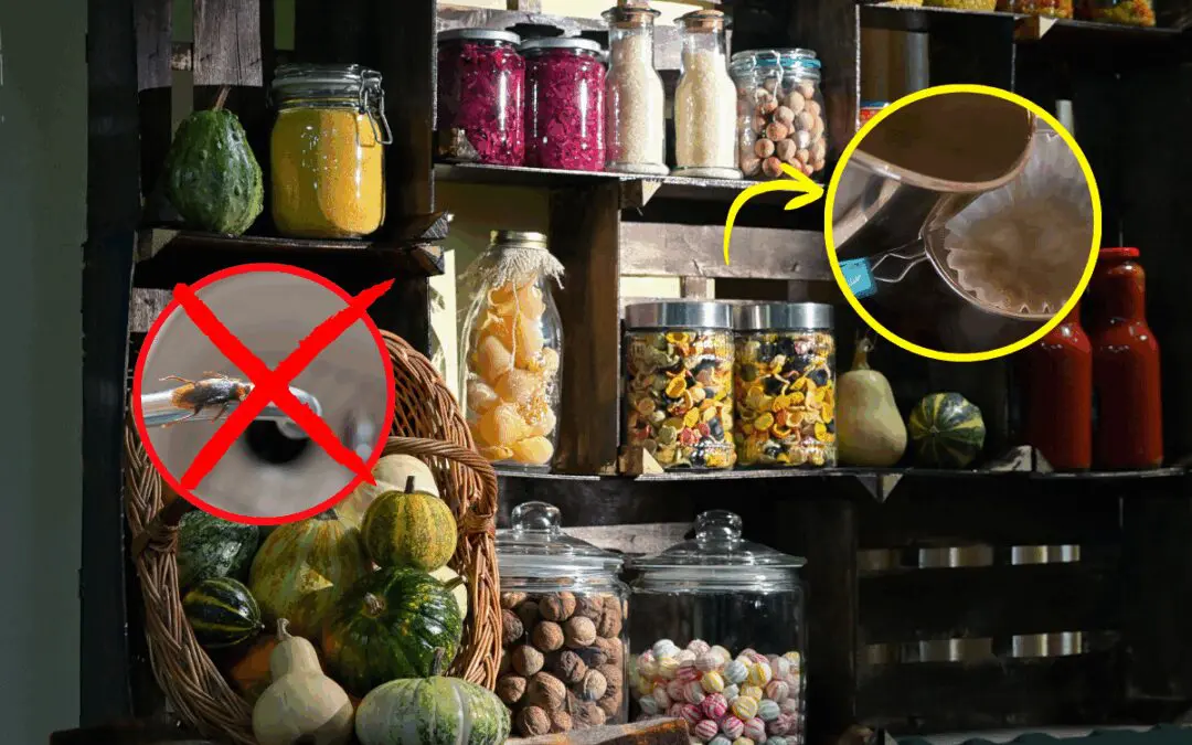 Add This to Your Pantry to Keep Pests Away This Winter
