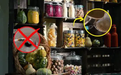 Add This to Your Pantry to Keep Pests Away This Winter