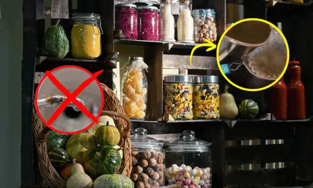 Add This to Your Pantry to Keep Pests Away This Winter