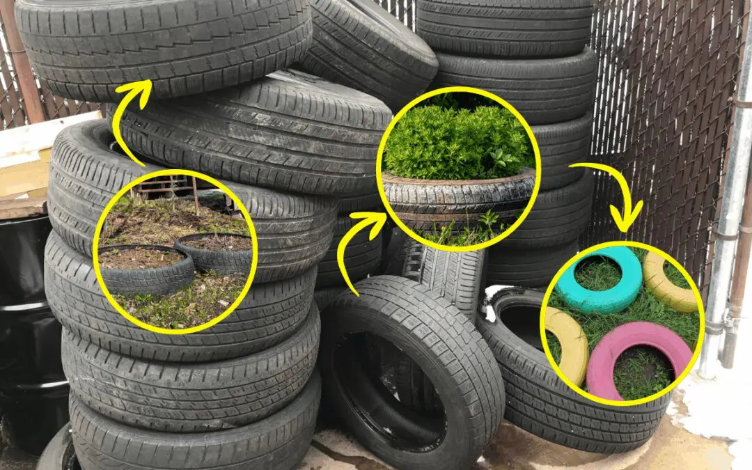 Don’t Throw Away Your Used Tires! Do This Instead