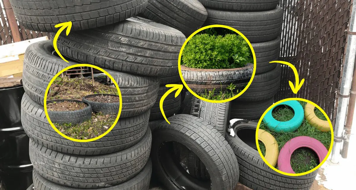 Don’t Throw Away Your Used Tires! Do This Instead