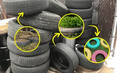 Don’t Throw Away Your Used Tires! Do This Instead