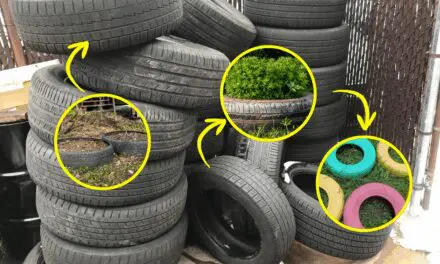 Don’t Throw Away Your Used Tires! Do This Instead