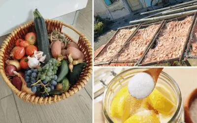 Best Ways To Preserve Your Fall Harvest