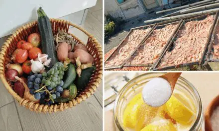 Best Ways To Preserve Your Fall Harvest