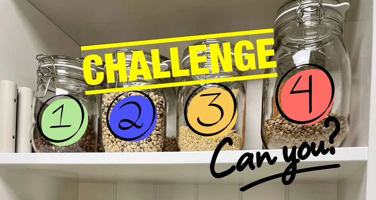 The 4-Ingredient Pantry Challenge. Can You Survive It?