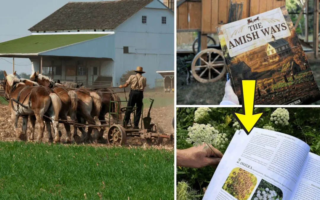 The Amish Ways: Book Review