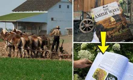 The Amish Ways: Book Review