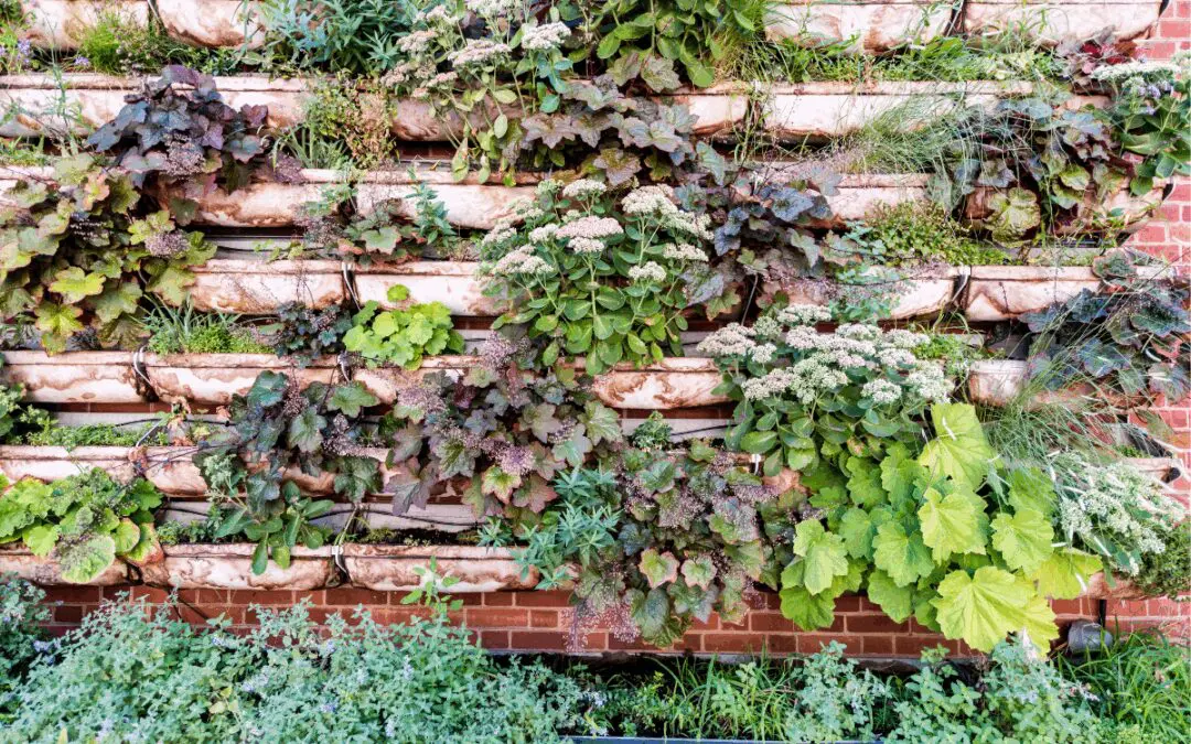 Vertical Gardening for Self-Sufficient Living