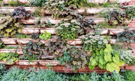 Vertical Gardening for Self-Sufficient Living