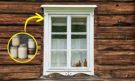 Why You Should Rub Lard On Your Windows