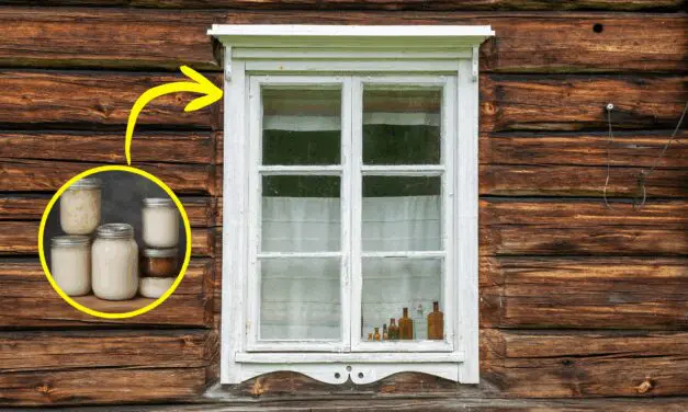 Why You Should Rub Lard On Your Windows