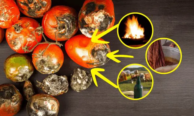 10 Uses for Spoiled Vegetables (Not Compost!)