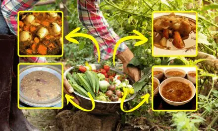 5 Healthy Harvest Soup Recipes