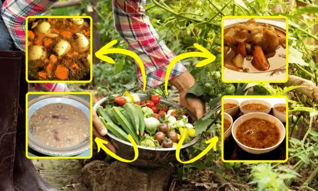 5 Healthy Harvest Soup Recipes