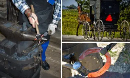 7 Amish Blacksmithing Skills That Will Save You $500 a Year