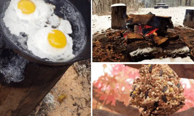 7 Low-Budget Projects You Should Make This Winter