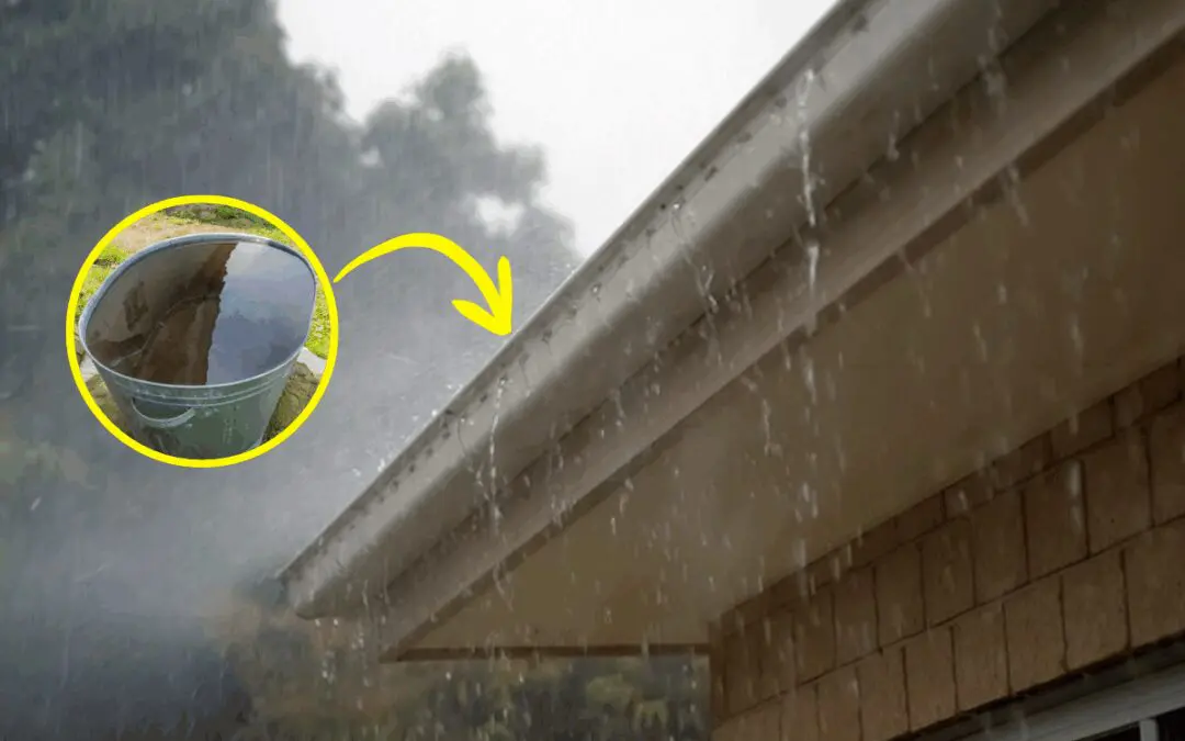 How to Harvest 1000+ Gallons of Water from Your Roof